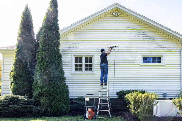 Best Driveway Pressure Washing  in Greenbriar, FL